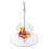 3Pcs Brinquedo Para De , Comedouro Para 11