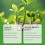 (120ml) Plant Nutrient Solution General Care Spray Nutrient Solution for Potted Flowers 8