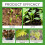 (120ml) Plant Nutrient Solution General Care Spray Nutrient Solution for Potted Flowers 14