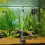 2 Pezzi 12 V 250 L/H Mini Pompa Subacquea In 4