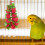 2 Stringhe Per Con Palline In Rattan 6
