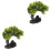 2Pcs Planta Artificial Para Decoração 5