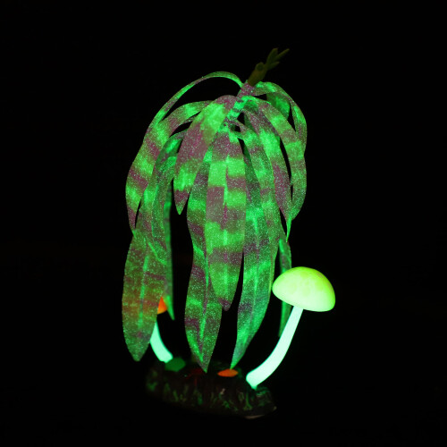 Planta Decorativa Grama