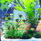 Planta De Plástico Para E De , Decoração 7