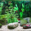 Planta De Plástico Para E De , Decoração 8