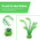 3 Unidades Planta Artificial De D'Água Plástico Para 8