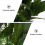1 Planta Aquática Artificial De Plástico Para 6