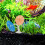 2 Unidades Para Betta Habitat 10