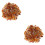2 Unidades 500 G Seixos Para 0,5-1 Cm 6