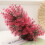 Subaquático Com Grama Artificial Plástico Rosa 2
