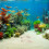 2 Pacotes De Cascalho Decorativo Para : 250G De Coral 7