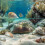 2 Pacotes De Cascalho Decorativo Para : 250G De Coral 6