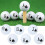 6Pcs Double Layer Rubber Golf Practice Balls, 42.7mm 9