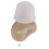 20D Deep Ear Canal Hearing Aid Mini Compact for Elderly Left Ear 15