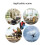 Mini Security Cam 140 Wide Angle Intelligent Motion Detection 8