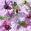 Lolita Lempicka Lolita Lempicka Eau De Parfum 30ml Spray 4