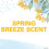 Secret Deodorant Spring Breeze Solid, 2.6 Ounce (Verpakking van 2) 9