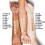 Rimmel RIMMEL LONDON Stay Matte Concealer - Buff 8