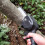 Mini Electric Chainsaw Set Guide Plate 11-inch Chain Silver 7