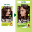 Garnier Garnier Nutrisse Χρώμα Μαλλιών Κρέμα, 413 Χάλκινο Καφέ (Η Συσκευασία Μπορεί να Διαφέρει) 2