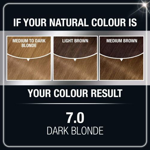 Garnier Garnier Olia Permanente Farbe 7.0 Dunkelblond 1 Stk (Packung mit 3) 1