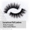 Eylure Eylure Dramatic Definition No. 126 Wimpern Multipack, 4 Paare 5