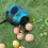 Garden Multipurpose Telescopic Rod Fruit Picking Tool With 6