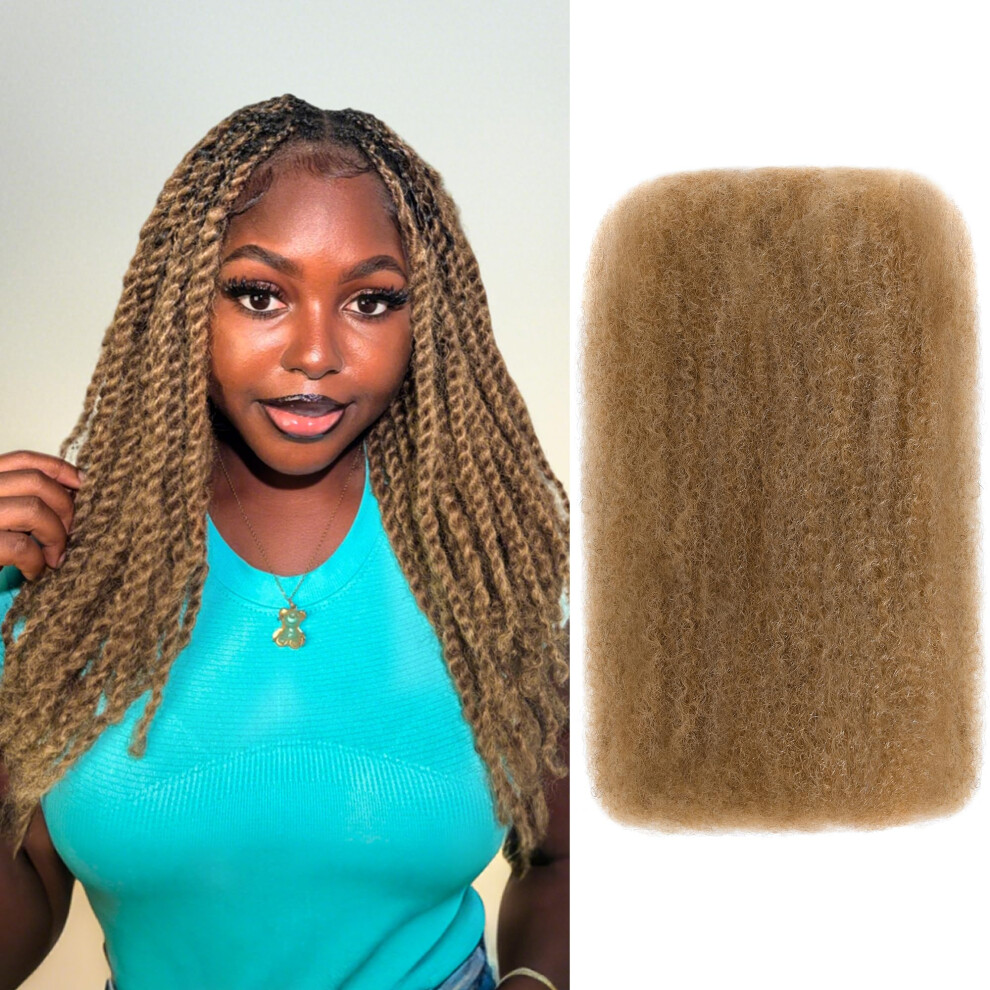 Arcpor Unisex Afro Kinkys Bulk Human Hair 18 Inch 50G/Pack Soft 4C Afro Kinky-Curly Human Hair Bulk For Twist Dreadlocks Extensions Repair Locs #27 1 Pack (27# 1