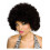 Rubies Rubiner Afro Sort paryk til voksne Unisex No Size 1