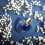 Lolita Lempicka Lolita Lempicka Eau de Parfum for Her - 50 ml 4