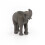 Papo - Estatueta de Elefante Jovem 3
