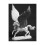 Dark Heaven Raindancer Pegasus RPR 02150 1