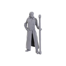 WizKids D&D Nolzur's Marvelous Miniatures: Special Edition Baldur's Gate 3 (Gale & Astarion)