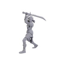 WizKids D&D Nolzur's Marvelous Miniatures: Special Edition Baldur's Gate 3 (Lae'zel & Shadowheart)