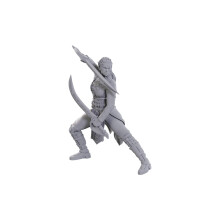 WizKids D&D Nolzur's prachtige miniaturen: speciale editie Baldur's Gate 3 (Jaheira & Halsin)