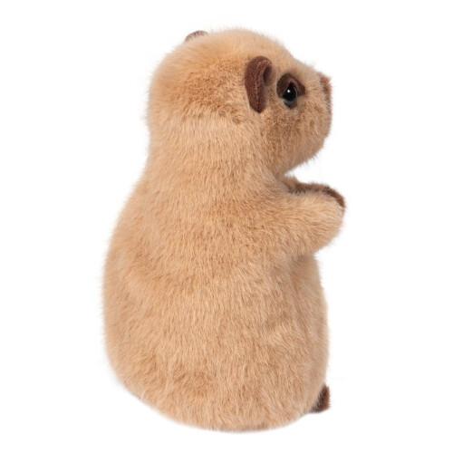 Douglas Douglas Chattie Soft Capybara Plüschtier | 7 Zoll 2