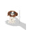 Ty TY Beanie Boo Muddles The Dog - 15cm 3