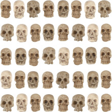 Junware 40 mini figuras de calavera Estatua de cabeza de esqueleto de resina de Halloween y cabezas en miniatura para decoracin de casa de mu