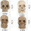 Junware 40 kpl Mini Skull Figurines 4