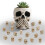 Junware 40 kpl Mini Skull Figurines 2