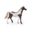 Schleich Schleich Club Ιπποειδών: Άλογο Paint Gelding 3