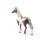 Schleich Schleich Club Ιπποειδών: Άλογο Paint Gelding 5