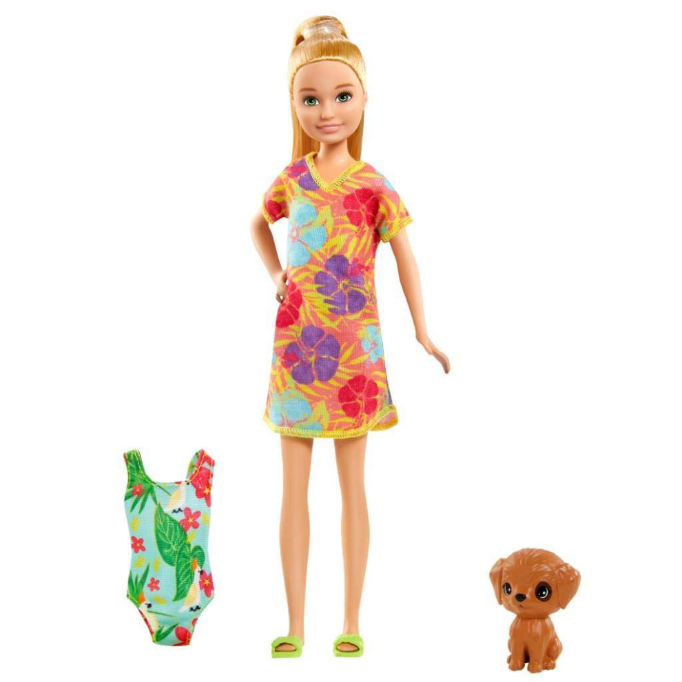 Barbie Teenager Doll And Chelsea The Lost Birthday Green