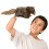 Folkmanis Flying Squirrel Hand Puppet, Brown 3
