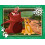 Ravensburger Ravensburger Puzzle Der König der Löwen 4 in 1 5