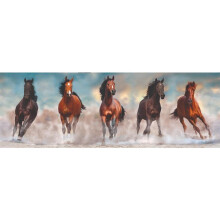 Clementoni Collection 39607, Pferde Panorama Puzzle für Kinder und Erwachsene - 1000 Teile, ab 10 Jahren, mehrfarbig, 40 x 21 x 6 cm