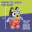 Bluey Baby plush activities - BLUEY - 25 cm 5