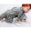 Baby Fanatic NCAA Oklahoma State Cowboys Security Bear Decke, Einheitsgre, Grau 3