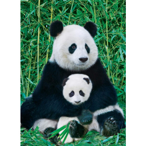 EuroGraphics Puzzle Panda et Bébé 1000 Pièces, Multicolore, 6000-0173 1