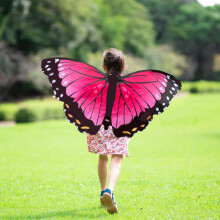 Insect Lore Pink Morpho Dress-Up Butterfly Wings - Teeskentely-asu lapsille